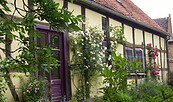 Garten von Sabine & Johannes Penzel, Foto: Johannes Penzel