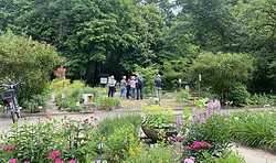 Sondertermin Offene Gärten Uckermark: Lehmann-Garten Templin