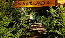 Cottbuser Winterwald