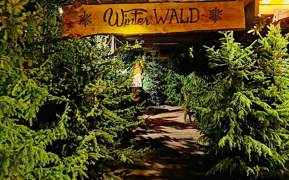 Cottbuser Winterwald, Foto: Frank Kuban, Lizenz: Frank Kuban