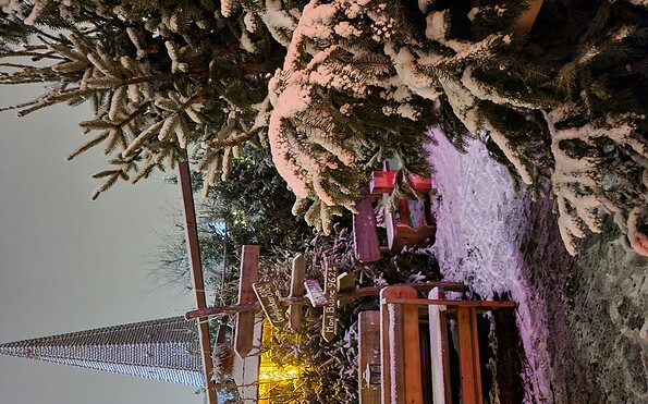 Cottbuser Winterwald, Foto: Frank Kuban, Lizenz: Frank Kuban