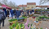 Ostermarkt Templin, Foto: TMT GmbH