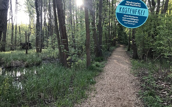 Power Walk, Foto: Tourismusverein Scharmützelsee, Lizenz: Tourismusverein Scharmützelsee