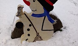 Adventskalender - Seeoase Lychen