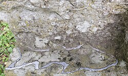 Ausstellungseröffnung: Ehrhard Thoms – von Tier und Mensch