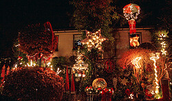 Adventskalender - Cocktailbar am Nesselpfuhl