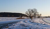 Polder im Winter, Foto: Elke Englert, Lizenz: Stadt Schwedt/Oder