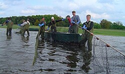 ErlebnisTour: Fischen auf dem Gülper See