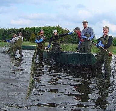 Zugnetzfischen, Foto: Günter Fischer