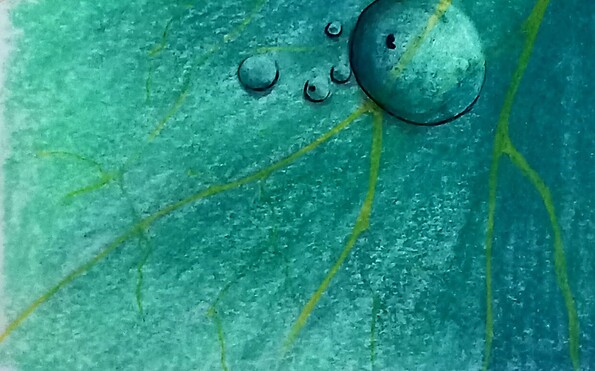 Was uns bewegt, Foto: Monika Leonhardt, Lizenz: Monika Leonhardt