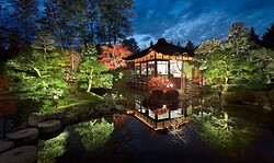 Beleuchteter Garten zur Adventszeit