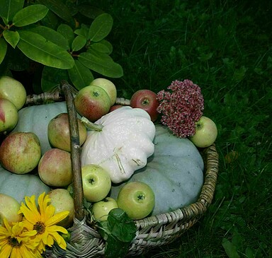 MarktTreff in Teupitz