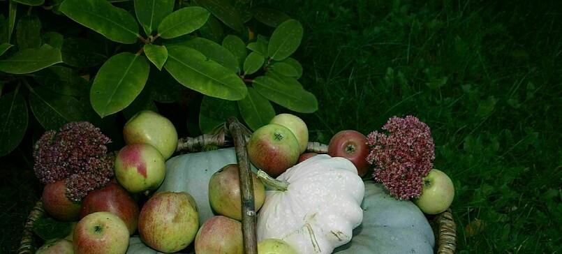 MarktTreff in Teupitz