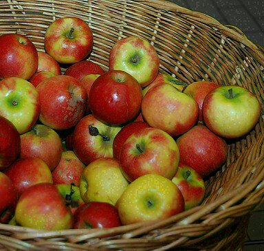 Wochenmarkt am Plumpengraben