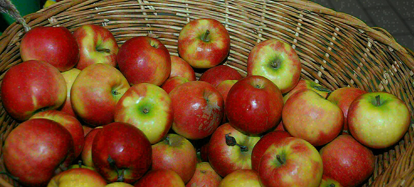Wochenmarkt am Plumpengraben