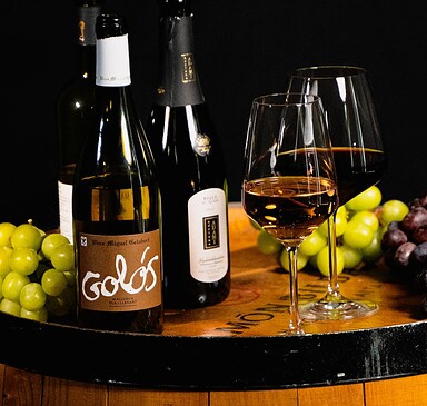 Wein Tasting - Festtagsedition