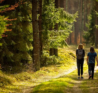 Natur pur - Waldspaziergang