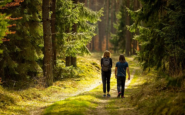 Spaziergang durch den Wald, Foto: grzejan/Shutterstock