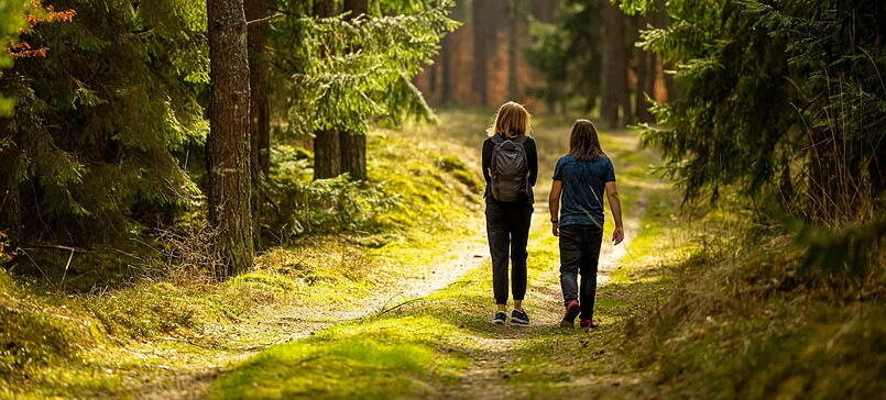 Natur pur - Waldspaziergang