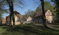 Ein Sommerabend in der Schlossgärtnerei – Gartensprechstunde