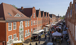 Tulpenfest im Holländischen Viertel