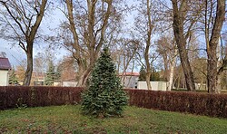 1.Spreenhagener Weihnachtsmarkt