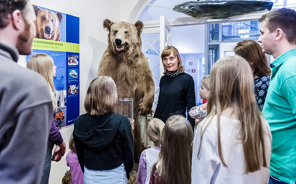 Museumsgäste vor Braunbär Tapsi, Foto: D. Marschalsky, Lizenz: Naturkundemuseum Potsdam