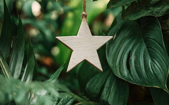 Foto: Biosphäre Potsdam, Lizenz: Biosphäre Potsdam