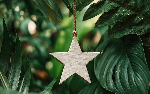 Foto: Biosphäre Potsdam, Lizenz: Biosphäre Potsdam