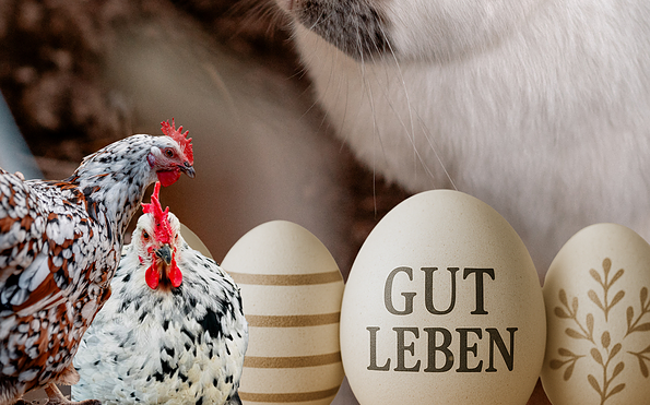 Foto: Marie Leßnig, Lizenz: Marie Leßnig