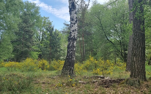 Foto: Odett Schnegula, Lizenz: Odett Schnegula