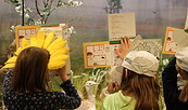Wer kennt die Antworten? Die Rallyebögen werden von Kindern ausgefüllt, Foto: Anne Vierling, Lizenz: Naturkundemuseum Potsdam