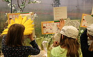 Wer kennt die Antworten? Die Rallyebögen werden von Kindern ausgefüllt, Foto: Anne Vierling, Lizenz: Naturkundemuseum Potsdam