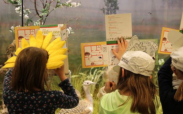 Wer kennt die Antworten? Die Rallyebögen werden von Kindern ausgefüllt, Foto: Anne Vierling, Lizenz: Naturkundemuseum Potsdam