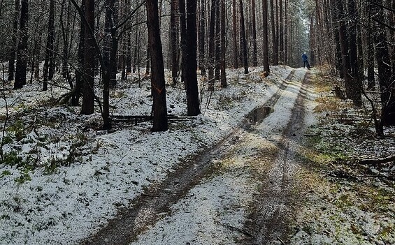 Foto: Odett Schnegula, Lizenz: Odett Schnegula