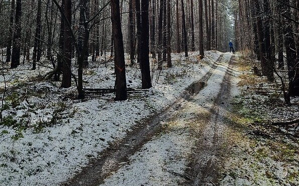 Foto: Odett Schnegula, Lizenz: Odett Schnegula