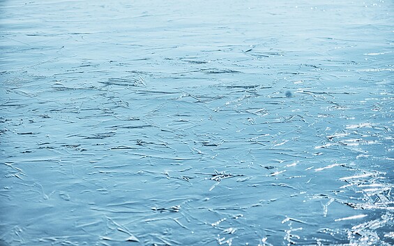 Foto: Nikiko, Lizenz: pixabay