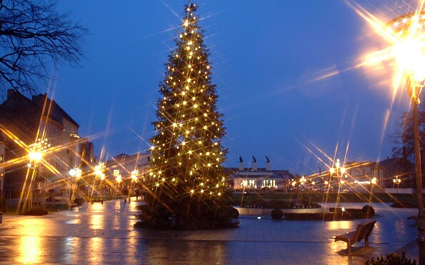 Gubener Dreieck, Foto: R. Werner, Lizenz: R. Werner