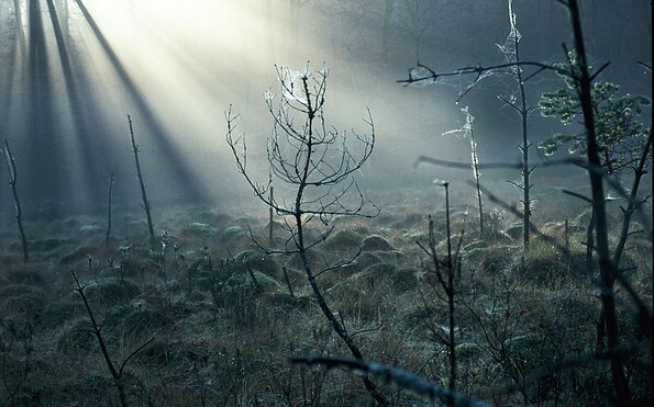 Foto: Succow, Lizenz: Succow