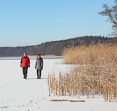 Sternwanderung zum Wolletzsee