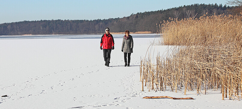 Sternwanderung zum Wolletzsee