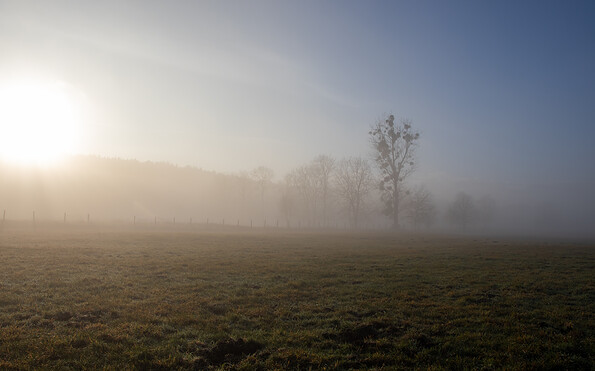 Foto: Naturwacht, C. Krüger, Lizenz: Naturwacht, C. Krüger