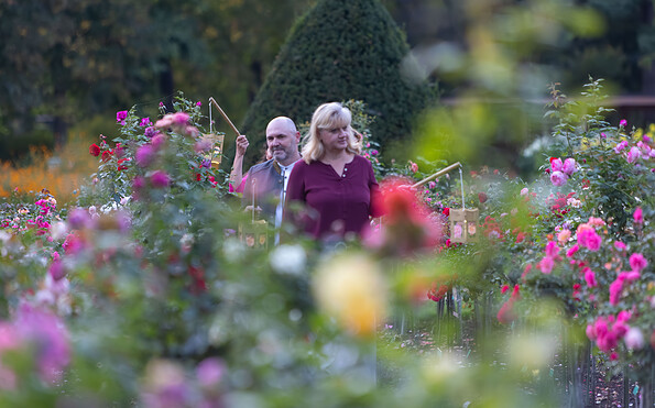 Foto: Artur Kozłowski, Lizenz: Stadt Forst (Lausitz)
