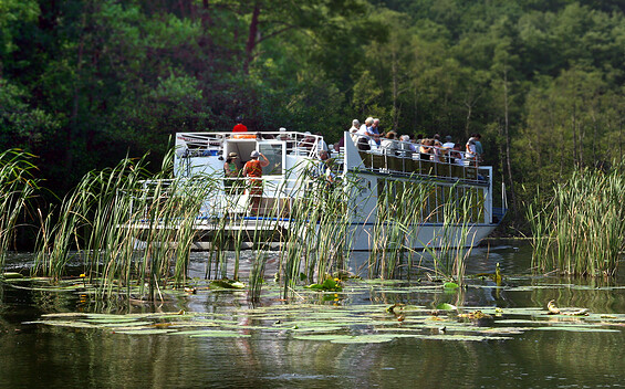 Tagesausflug , Foto: Traub, Lizenz: Tourismus-Service BürgerBahnhof GmbH