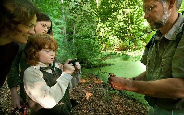 Natürführer Th. Volpers am Weltnaturerbe Grumsin, Foto: Max Mustermann, Lizenz: Tourismus-Marketing Uckermark