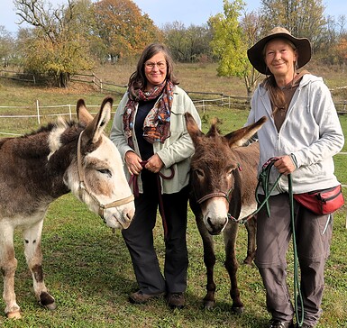 rESELienztag mit Eseln