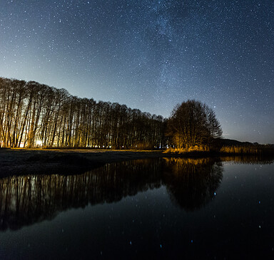 Foto: M. Lehmann, Lizenz: Stiftung NaturSchutzFonds Brandenburg