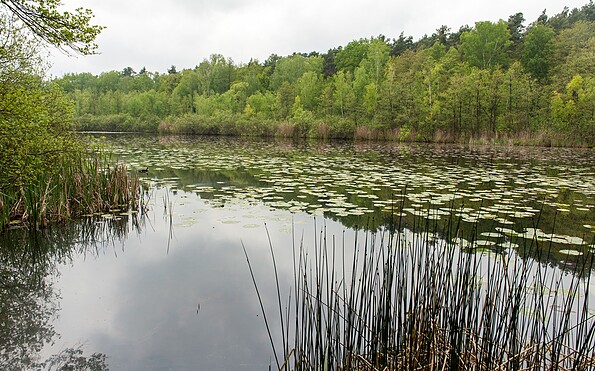 Foto: Dana Klaus, Lizenz: Tourismusverband Dahme-Seenland e.V.