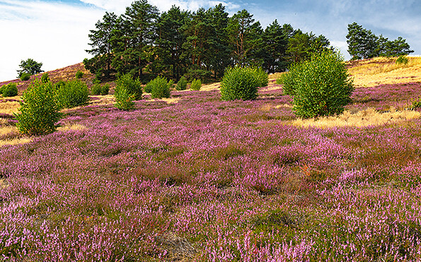 Foto: Stefan Hessheimer