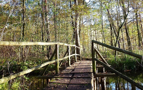 Foto: Juliane Frank, Lizenz: Tourismusverband Dahme-Seenland e.V.